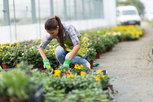 Gardening services in Whitechapel for tidy urban garden maintenance