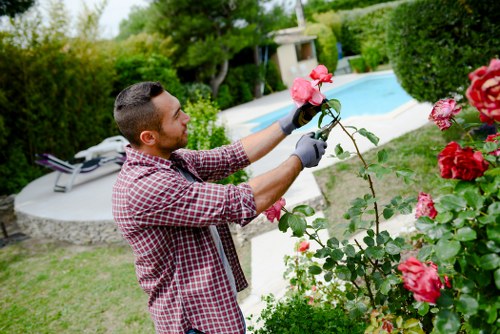 Local gardener providing garden maintenance in Whitechapel