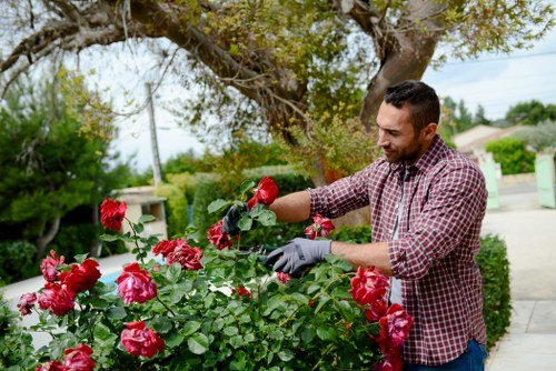 Client complaint being logged for a gardening service