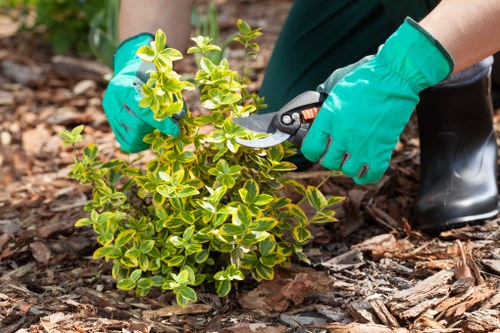 Responsible garden waste disposal during Whitechapel clearance