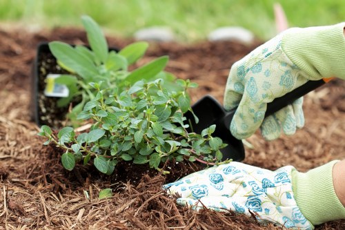 Booking and confirmation details for gardening services