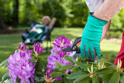 Seasonal lawn mowing and garden upkeep in Whitechapel