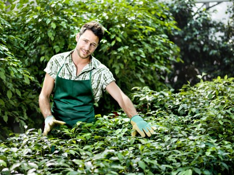 Waste disposal and governing law section for garden services