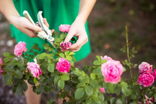 Trusted Whitechapel gardeners supporting beautiful and practical outdoor spaces