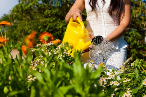 Seasonal watering and mowing for lawn care in Whitechapel