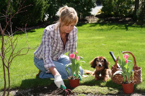 Analytics cookies and website performance monitoring for Whitechapel gardeners