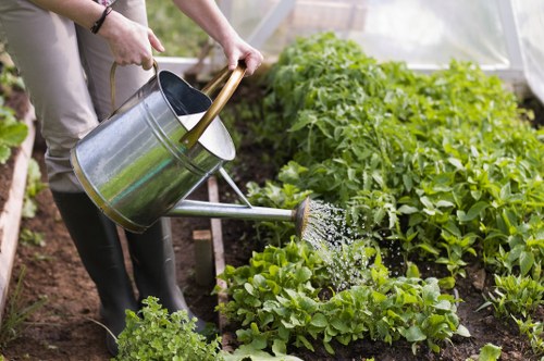 Pruning and shaping plants in a Whitechapel outdoor space