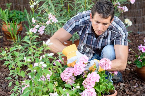 Clearing weeds and debris from a Whitechapel garden