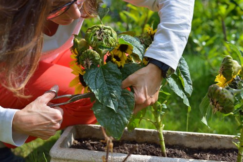 Organic garden materials being directed to local recycling streams