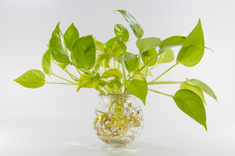 garden design hedge trimming