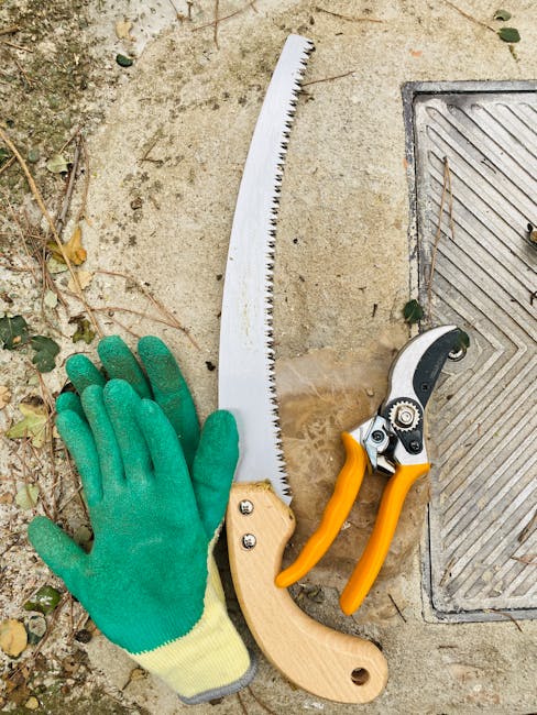 A gardener wearing a beige cap and brown jacket is trimming a tall, leafy shrub using long-handled hedge shears. The shrub has green, serrated leaves and a straight, slender trunk with a textured, bro