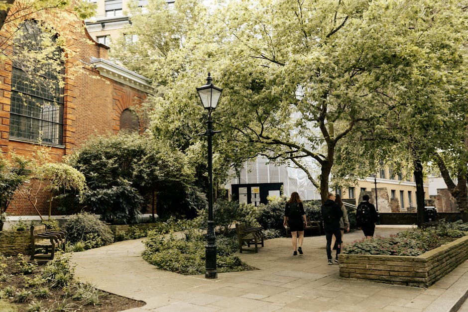 A peaceful urban garden in Whitechapel featuring a paved pathway winding through lush greenery, including well-maintained trees with broad, leafy canopies providing dappled shade. The garden beds are 